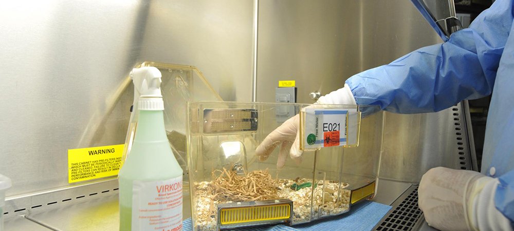 Chemical Handling Training Course | Chemical Handling Certificate